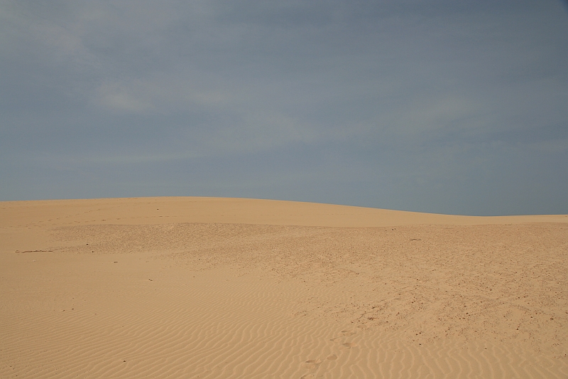 Kanary_2010 078